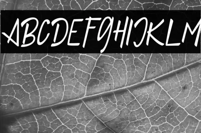 JelloFREE Polices examples