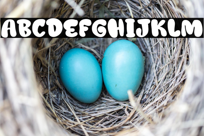 Jelly Ball Personal Use Example 1