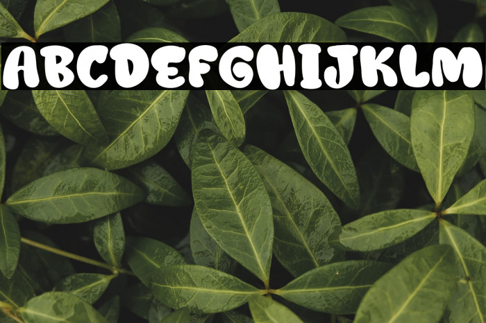 Jelly Ball Personal Use Example 2