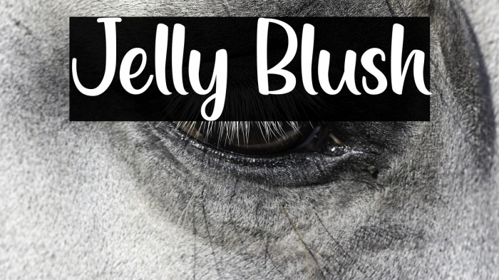 Jelly Blush Example 1