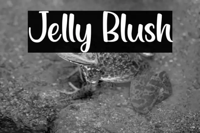 Jelly Blush Font examples