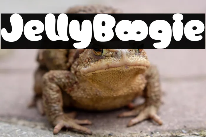 Jelly Boogie Example 1