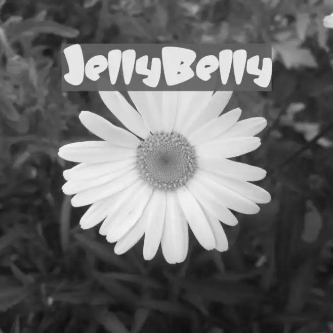 JellyBelly Font examples