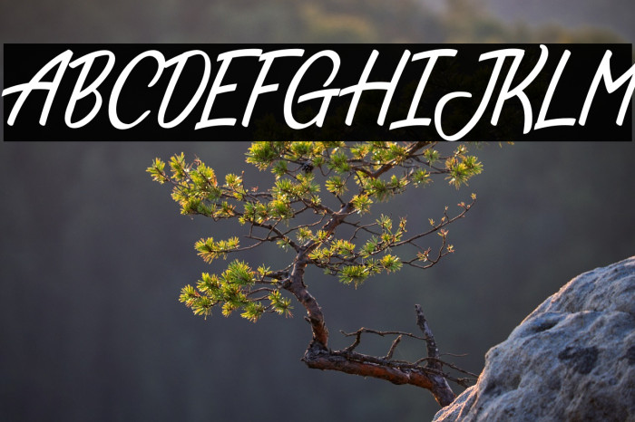 JellyBelty Example 3