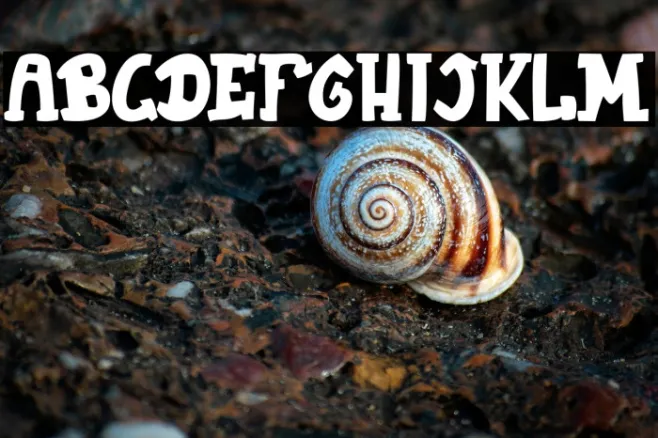 JellySquer Example 1