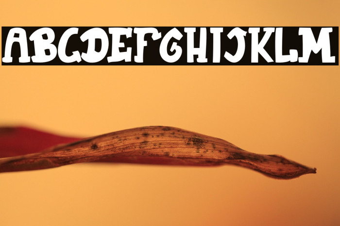 JellySquer Example 3