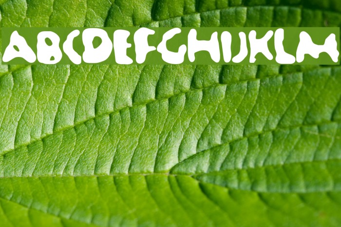 Jellybean Font examples