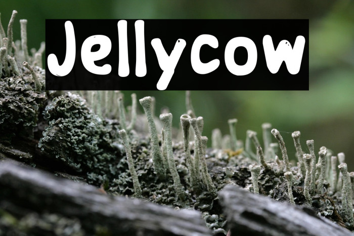 Jellycow Example 1