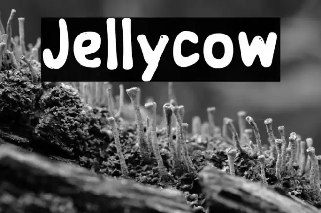 Jellycow Font examples