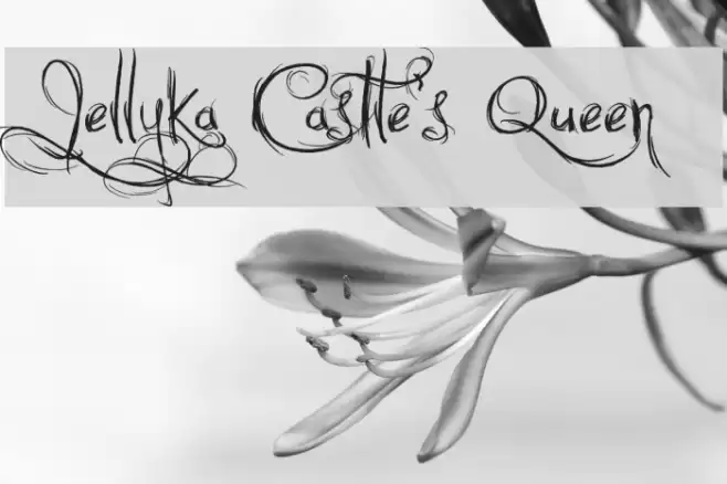 Jellyka Castle's Queen Schriftart examples