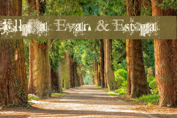 Jellyka Evan & Estrya Fonte examples