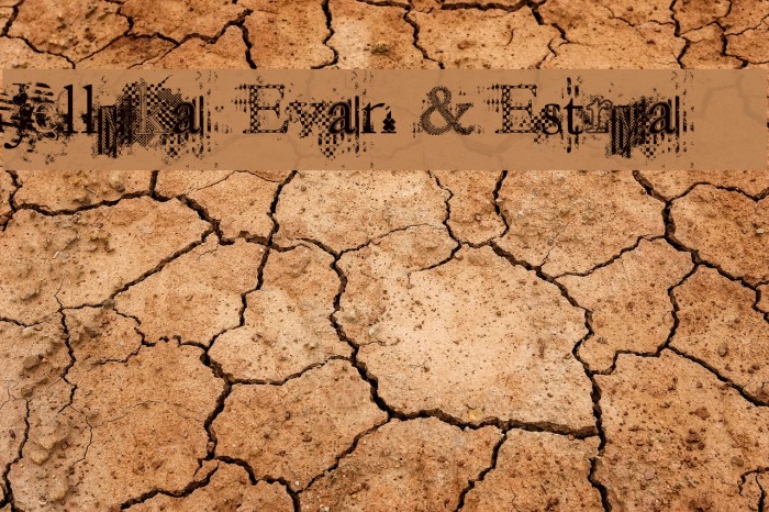 Jellyka Evan & Estrya Fonte examples
