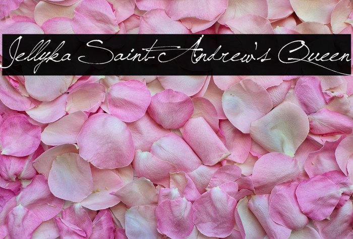 Jellyka Saint-Andrew's Queen Example 2