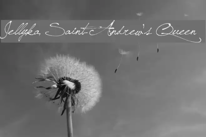 Jellyka, Saint-Andrew's Queen Font examples