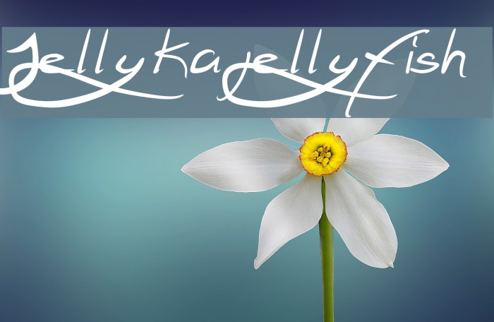 Jellyka jellyfish Example 1