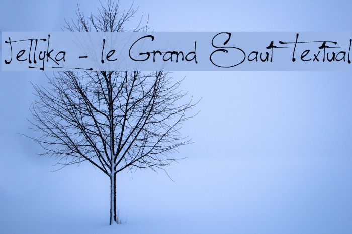 Jellyka - le Grand Saut Textual Example 2