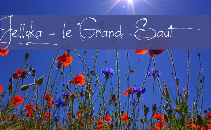 Jellyka - le Grand Saut Polices examples