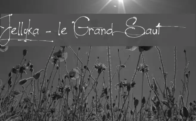 Jellyka - le Grand Saut Font examples