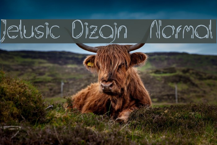 Jelusic Dizajn Normal Font examples