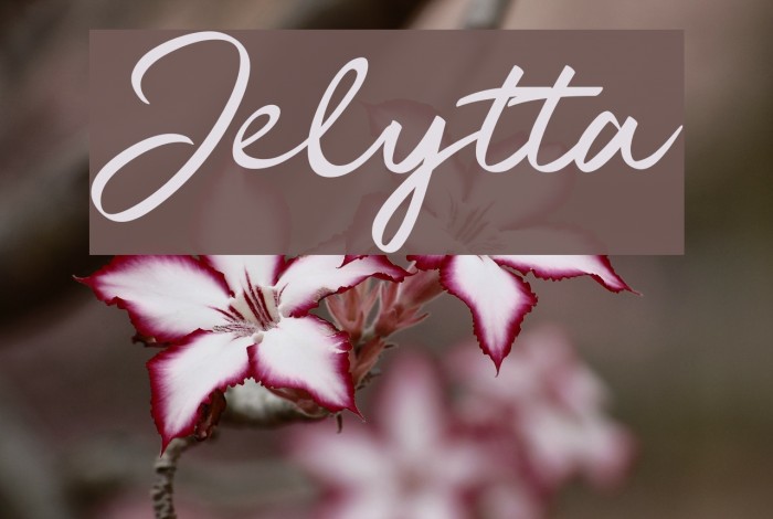 Jelytta Font examples