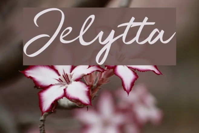 Jelytta Example 1