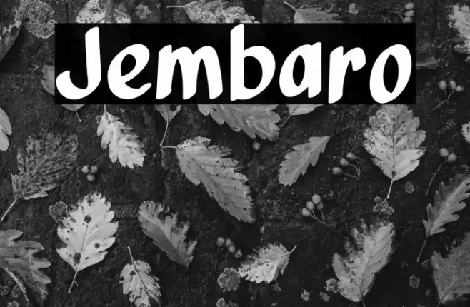 Jembaro Font examples