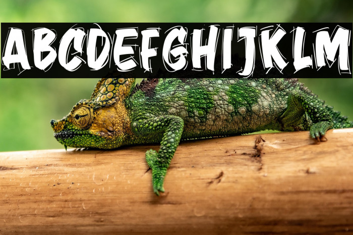 Jember Sketch Example 1