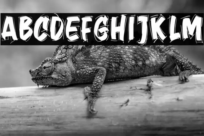 Jember Sketch خط examples