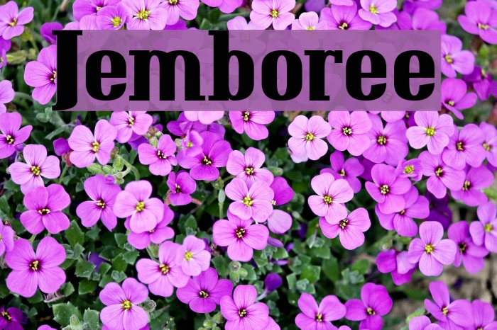 Jemboree Font examples