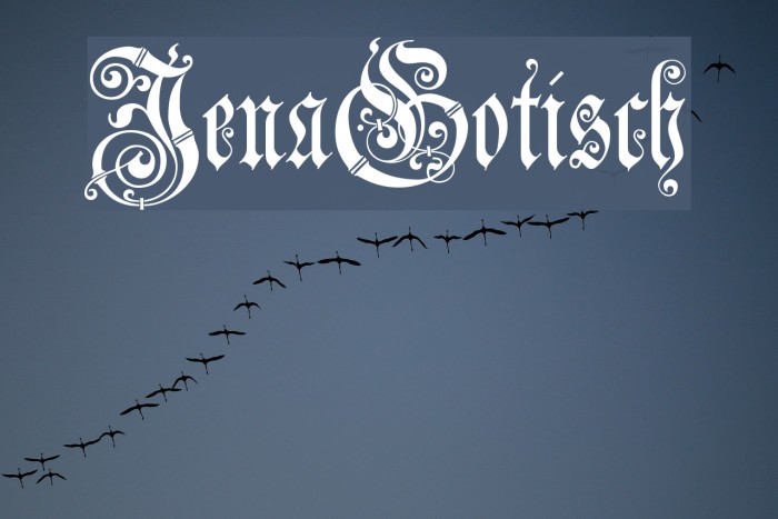 JenaGotisch Font examples