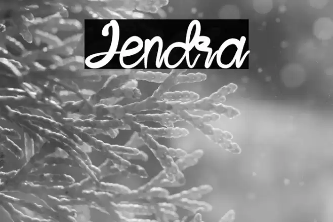 Jendra Font examples