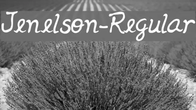Jenelson-Regular Шрифта examples