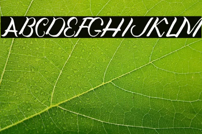 Jengmudy Example 3