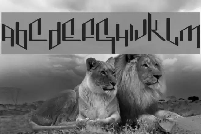 Jenice Font examples