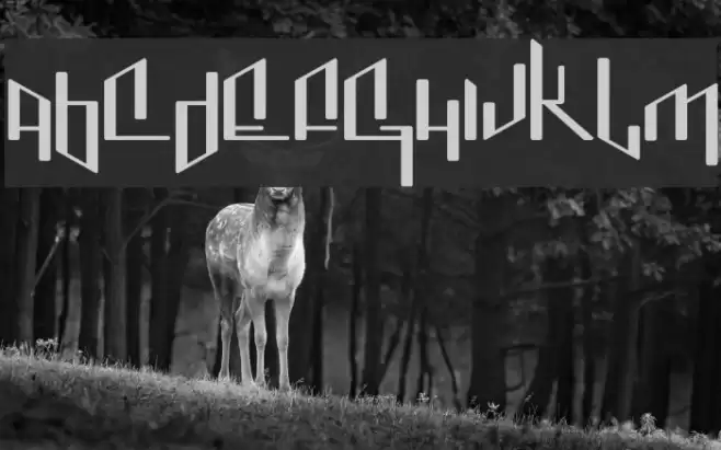 Jenice Font examples