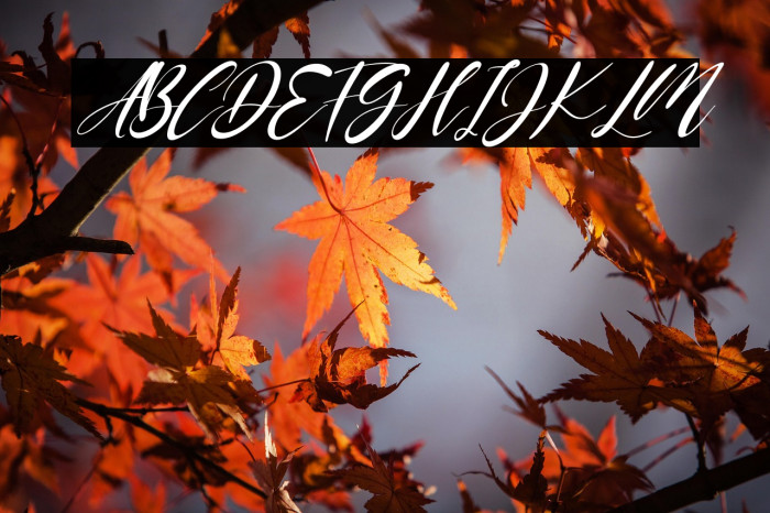 Jeniffer Italic Example 1