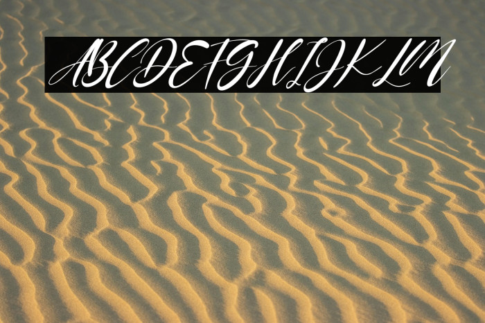 Jeniffer Italic Example 3