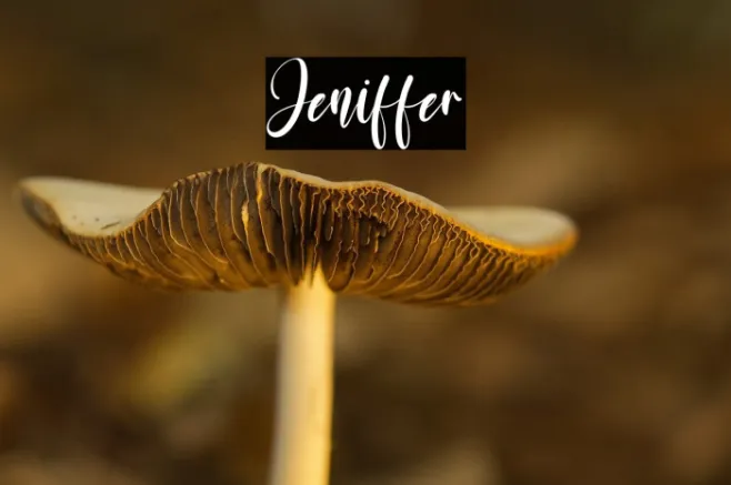 Jeniffer Example 2