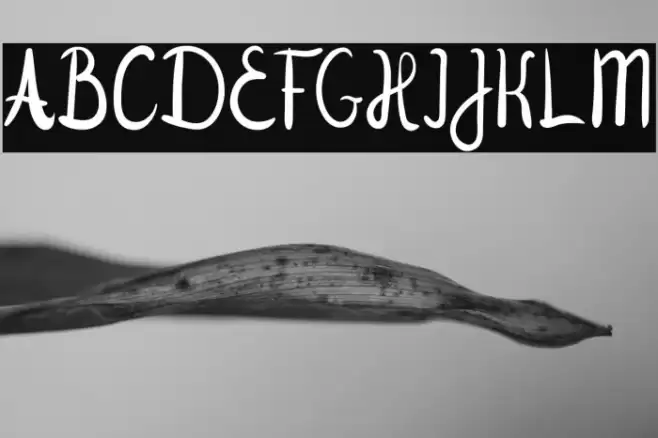 Jenilla Font examples