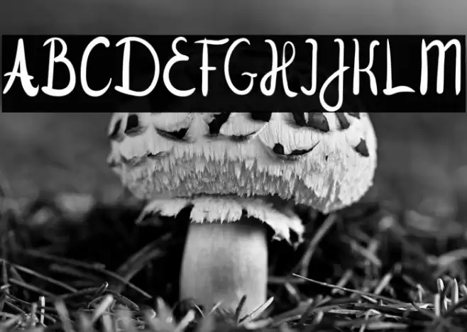 Jenilla Font examples