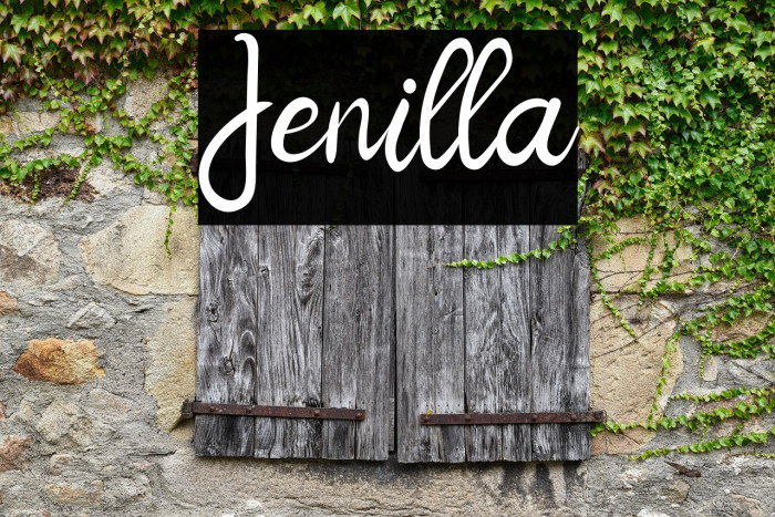 Jenilla Example 1