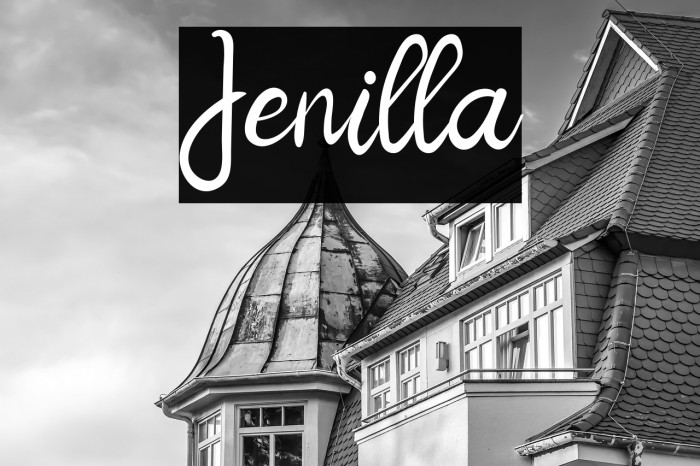 Jenilla Example 2