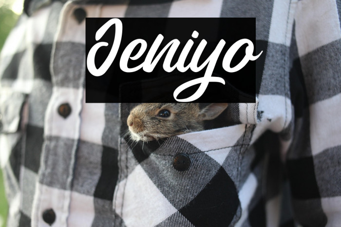 Jeniyo Example 3