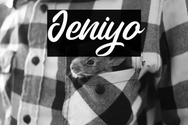 Jeniyo Font examples
