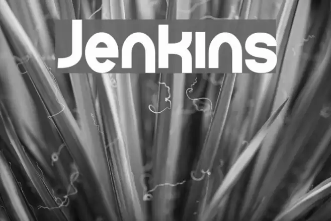 Jenkins Font examples