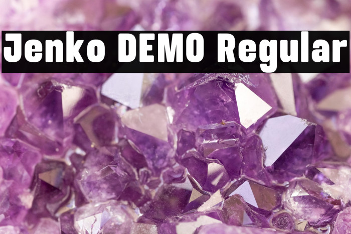 Jenko DEMO Regular Example 3