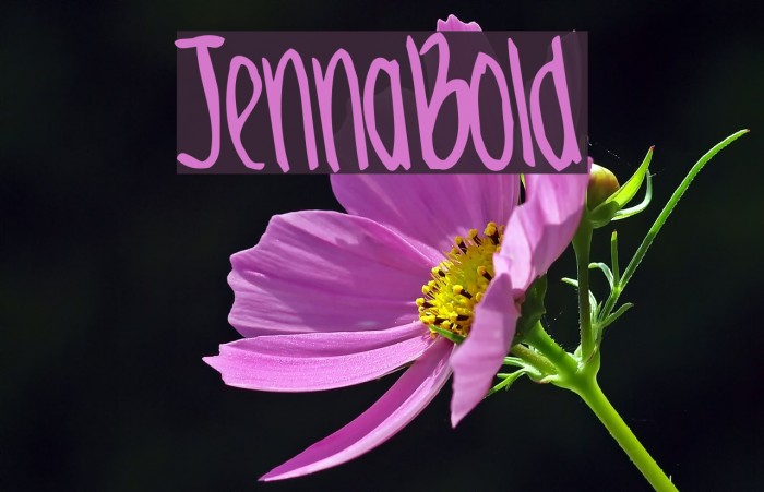 JennaBold Font examples