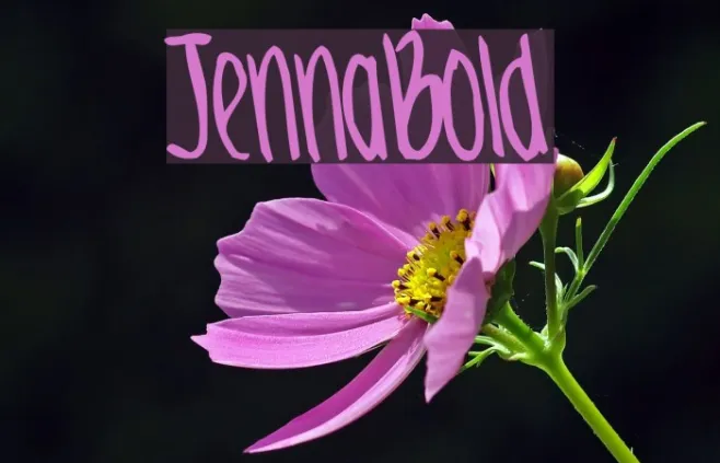 JennaBold Example 1