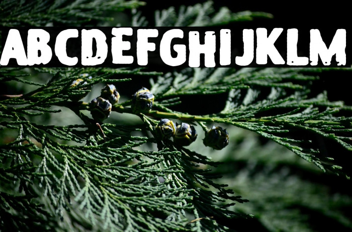 Jennie on the Block Example 2