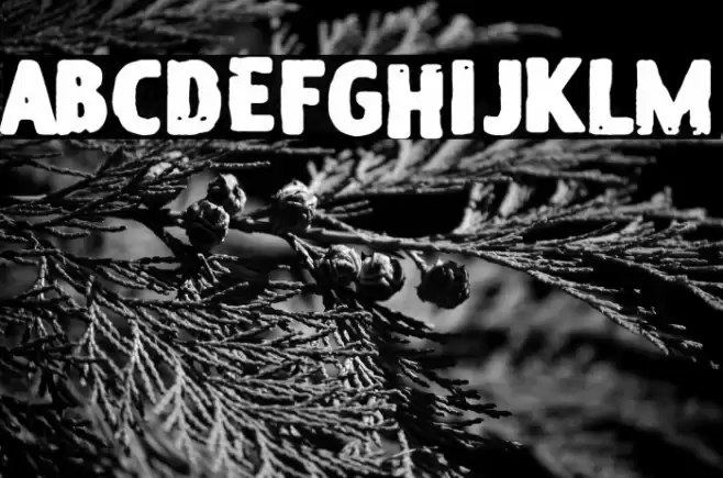 Jennie on the Block Schriftart examples